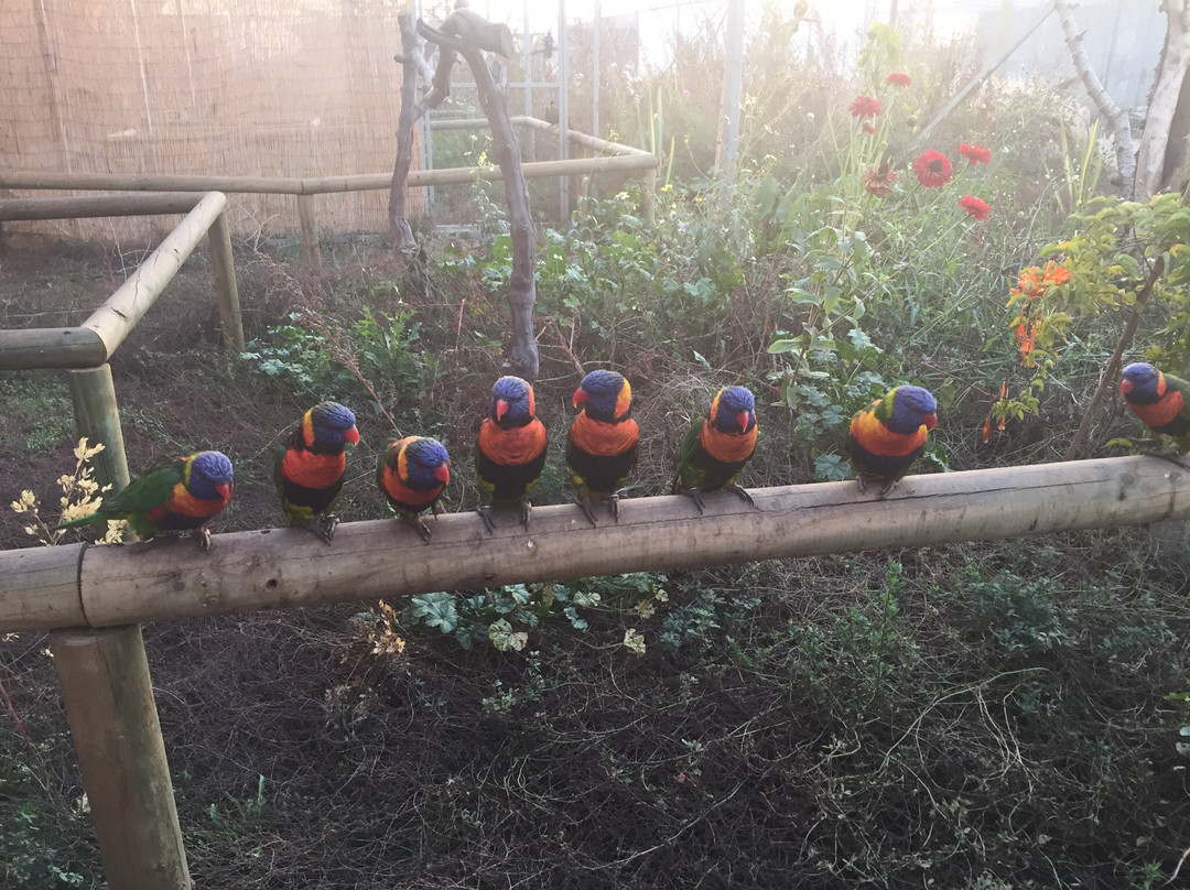 Aviarium Chicureo景点图片