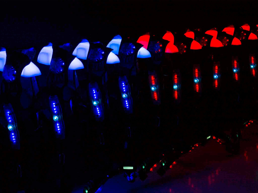 Quest Laser Cafe景点图片