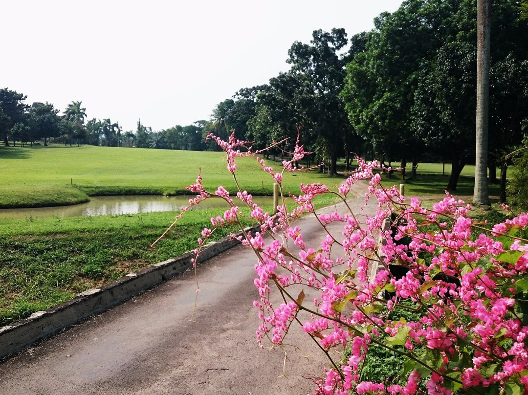 The Royale Krakatau Golf & Country Club-芝勒贡必去景点