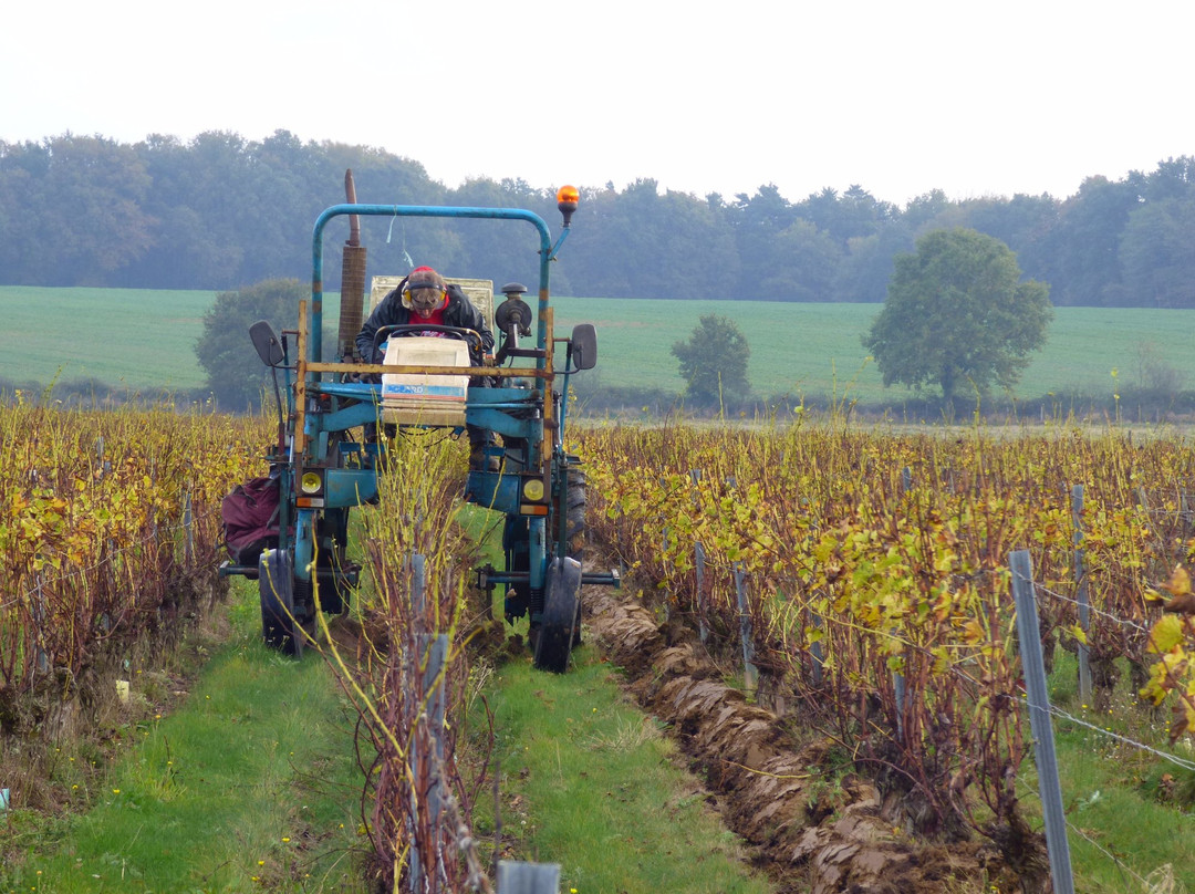 Domaine de la Méchinière景点图片
