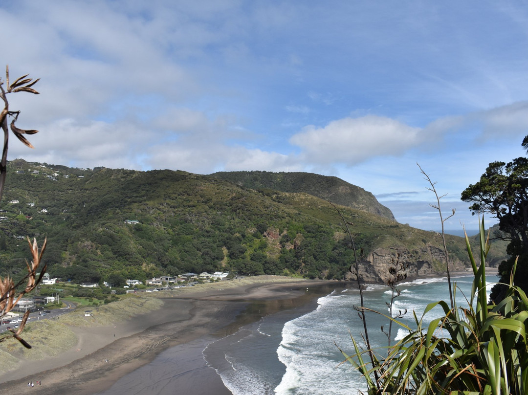 Oh Yeah Tours-皮哈海滩必去景点