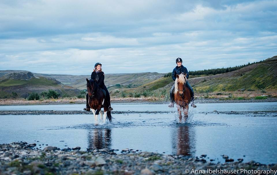 Riding Tours South Iceland景点图片