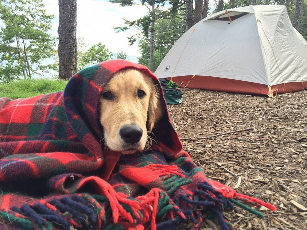 Sagadahoc Bay Campground