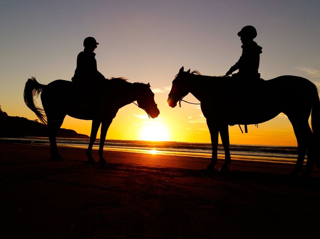 Surf & Turf Horse Riding Raglan-拉格伦必去景点