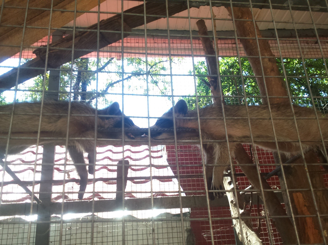 VarLiana Hotel主图