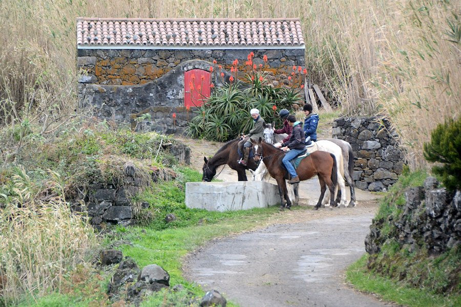 BELO CAMPO - Equitação-Castelo Branco必去景点