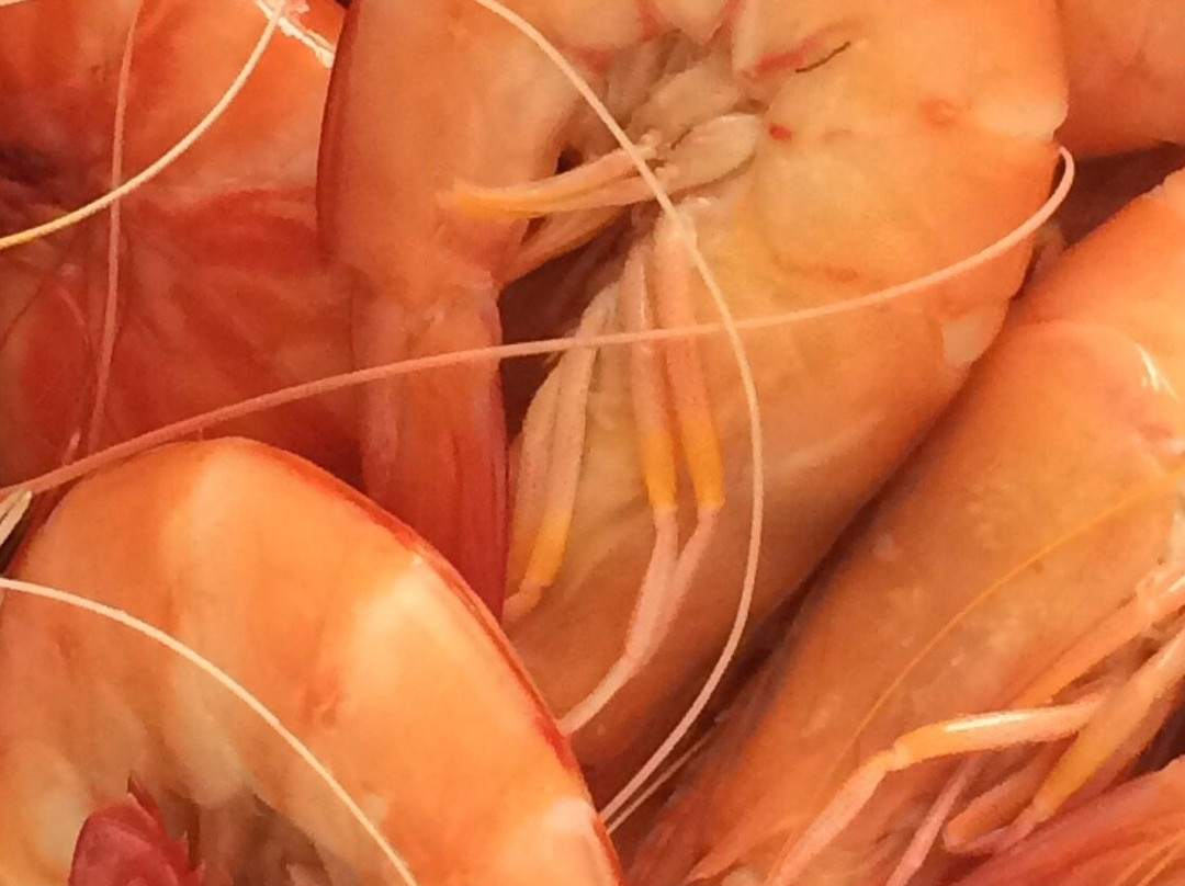 Gold Coast Fishermen’s Cooperative-梅因海滩必去景点