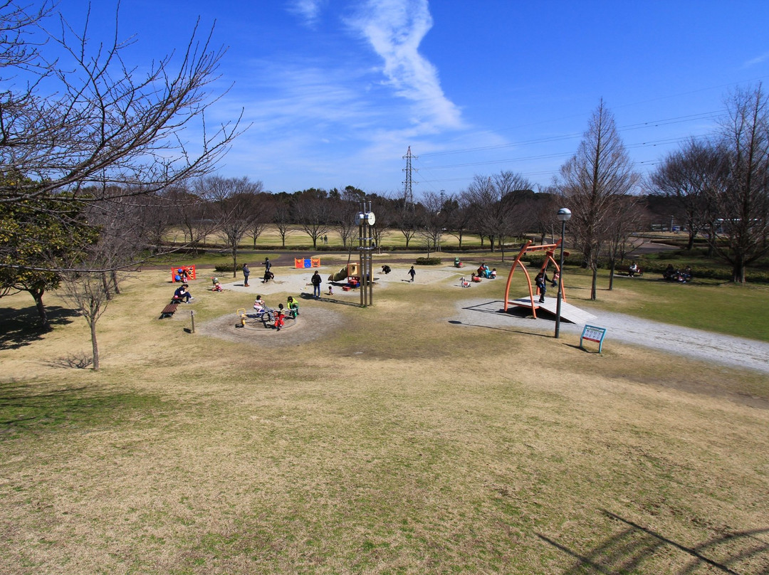 Suzuka Flower Park-铃鹿市必去景点
