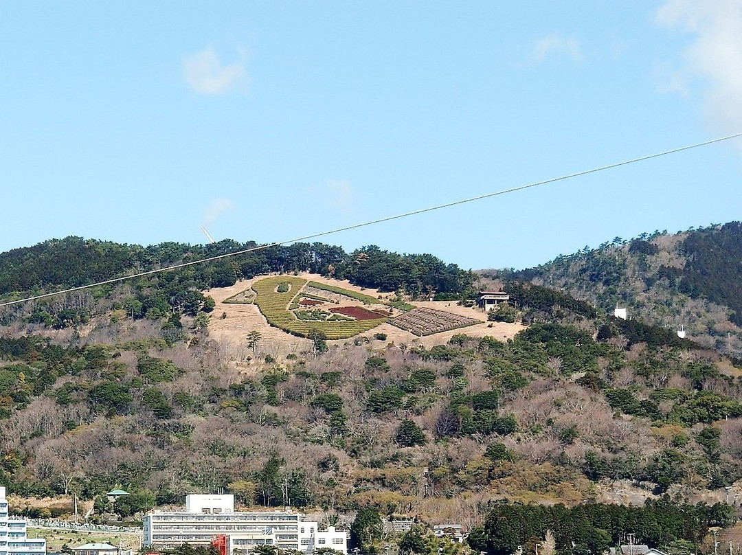 Hana no Sakuoka Park景点图片