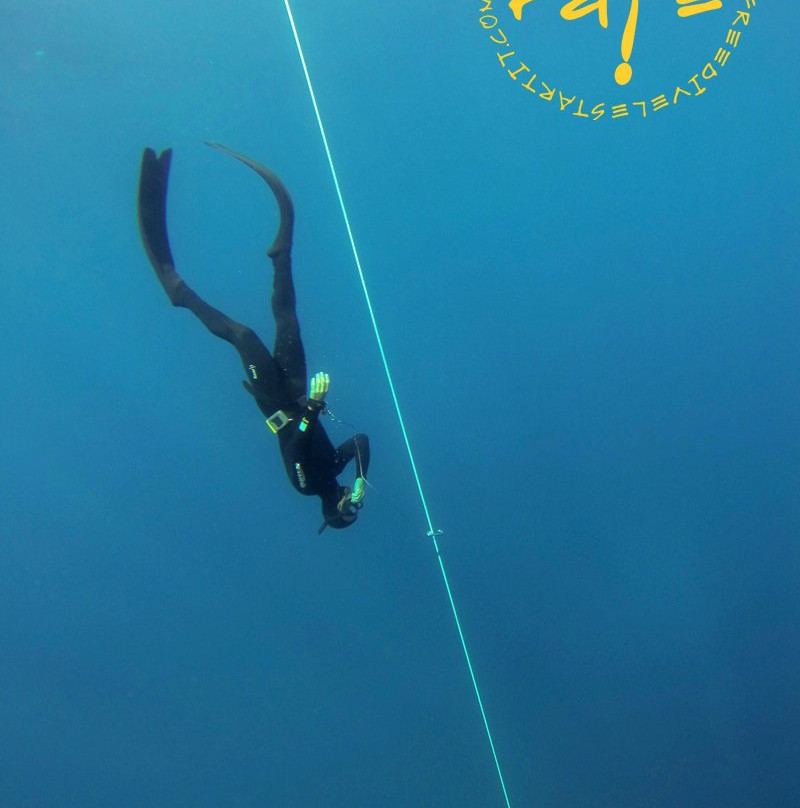 Freedive l'Estartit景点图片