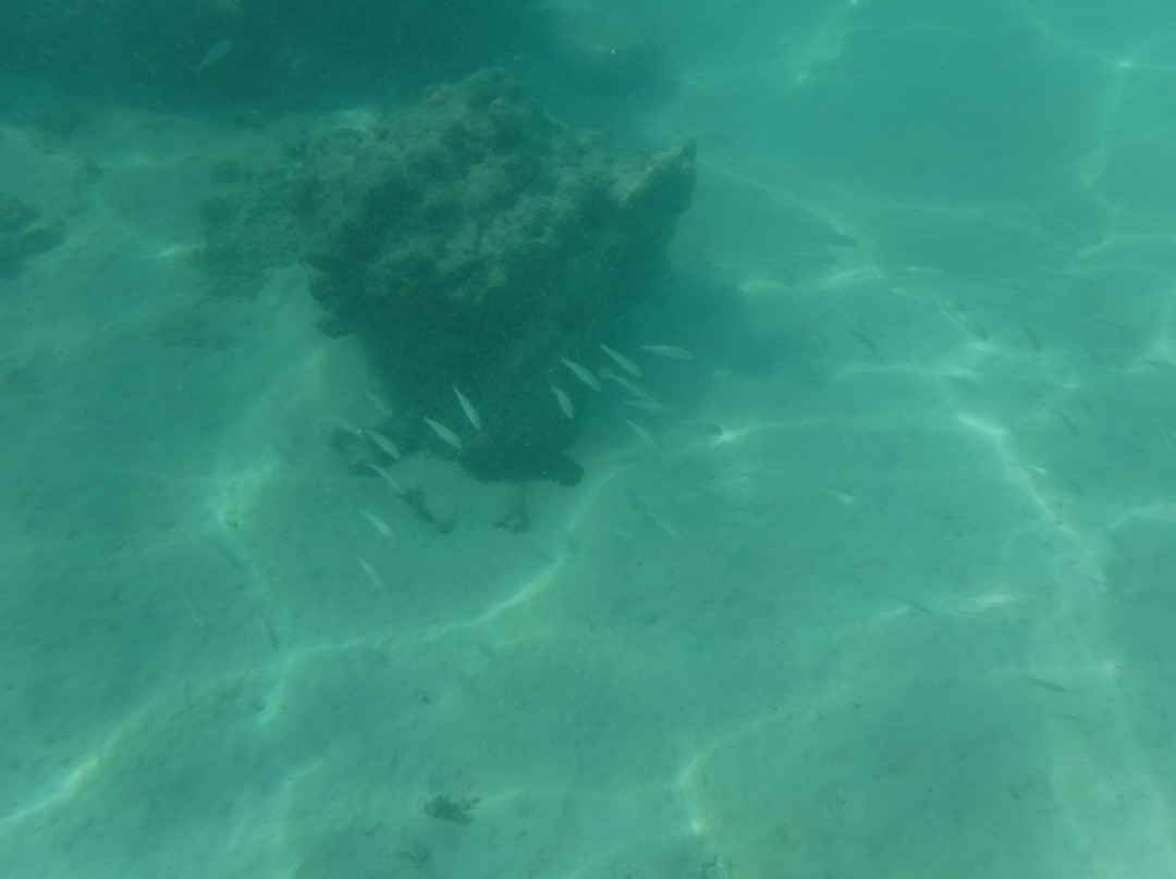 Tikioki Marine Reserve-拉罗汤加必去景点