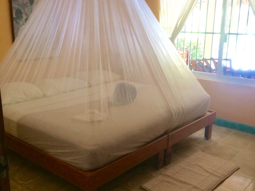 The Ascension Bay Bed and Breakfast主图