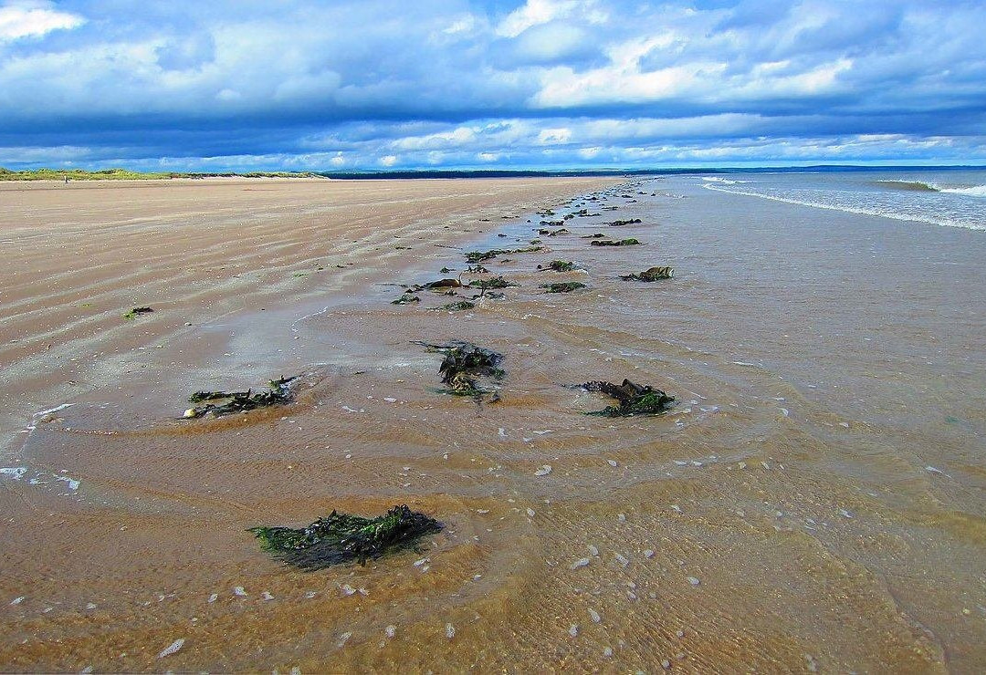 St Andrews West Sands Beach景点图片