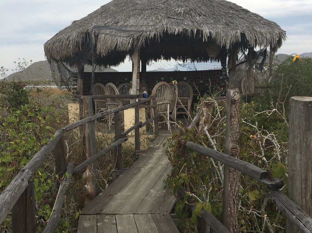 Art and Beer-佩斯卡德罗必去景点