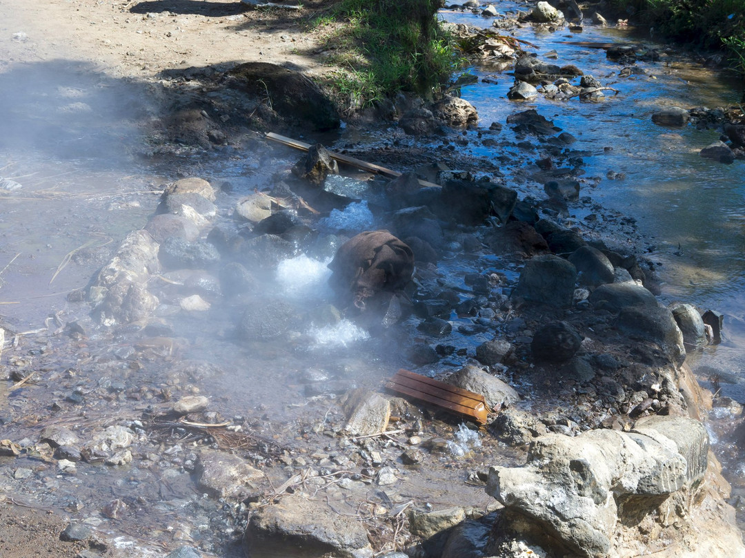Savusavu Hot Springs-萨武萨武必去景点