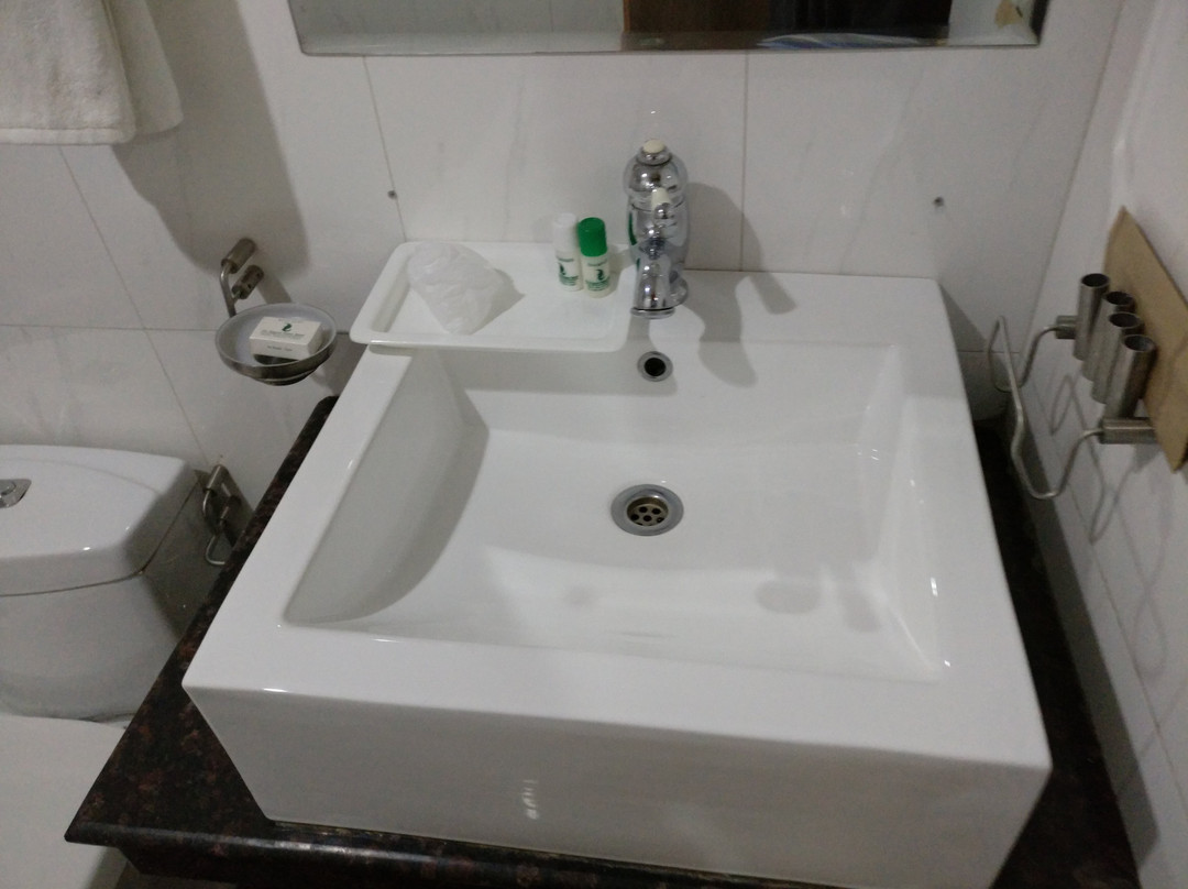 丽晶棕榈酒店主图