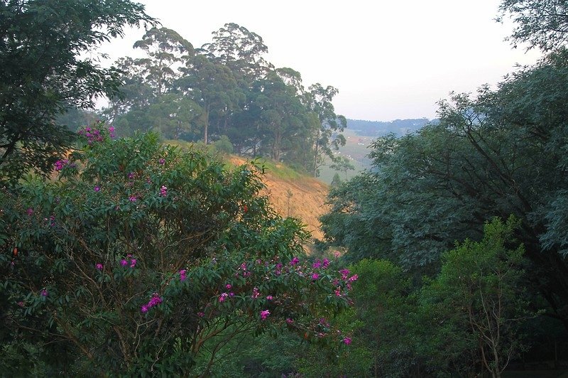 Recanto Campestre Vinhedo-浴室
