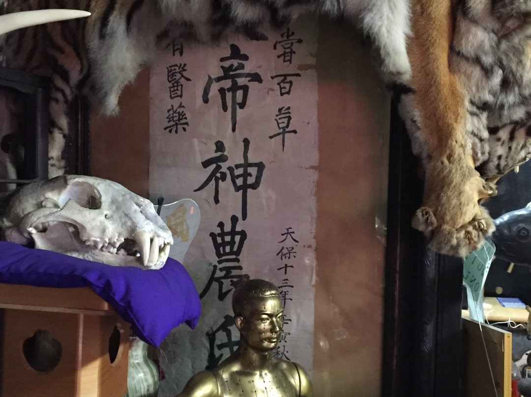 Shimoda Kouseidou-成田市必去景点