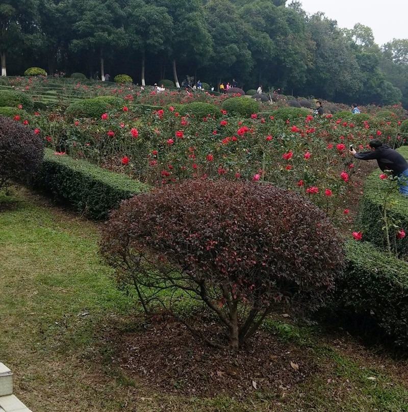 紫马岭公园-中山市必去景点