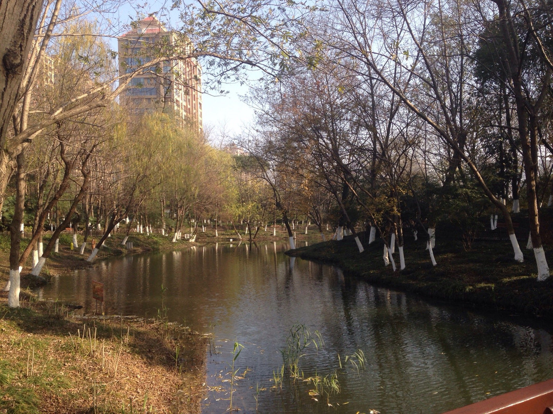 青枫公园-常州市必去景点