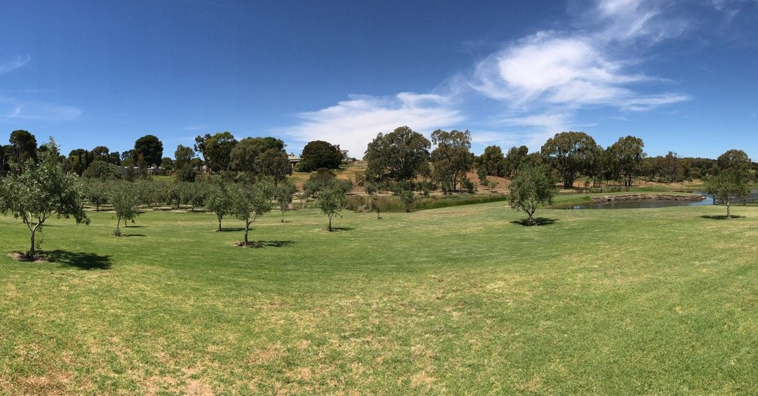 Lloyd Brothers Wine-麦克拉伦谷必去景点