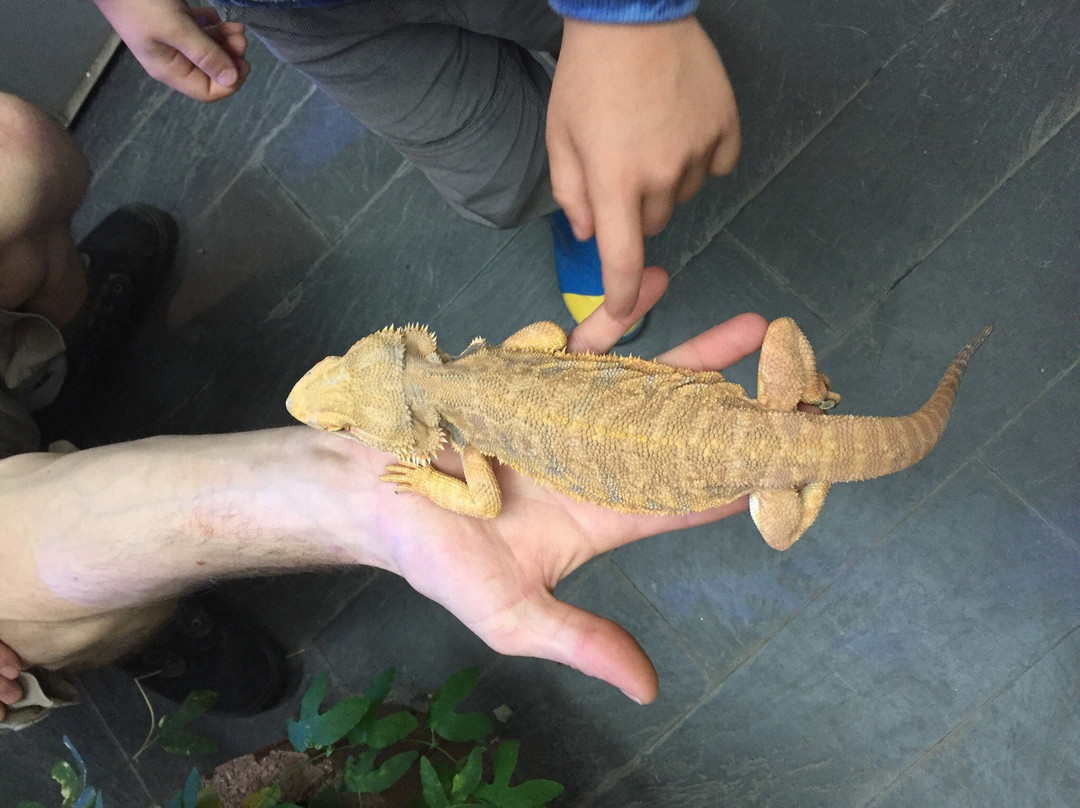 Vivarium Elapsoidea-梅林必去景点