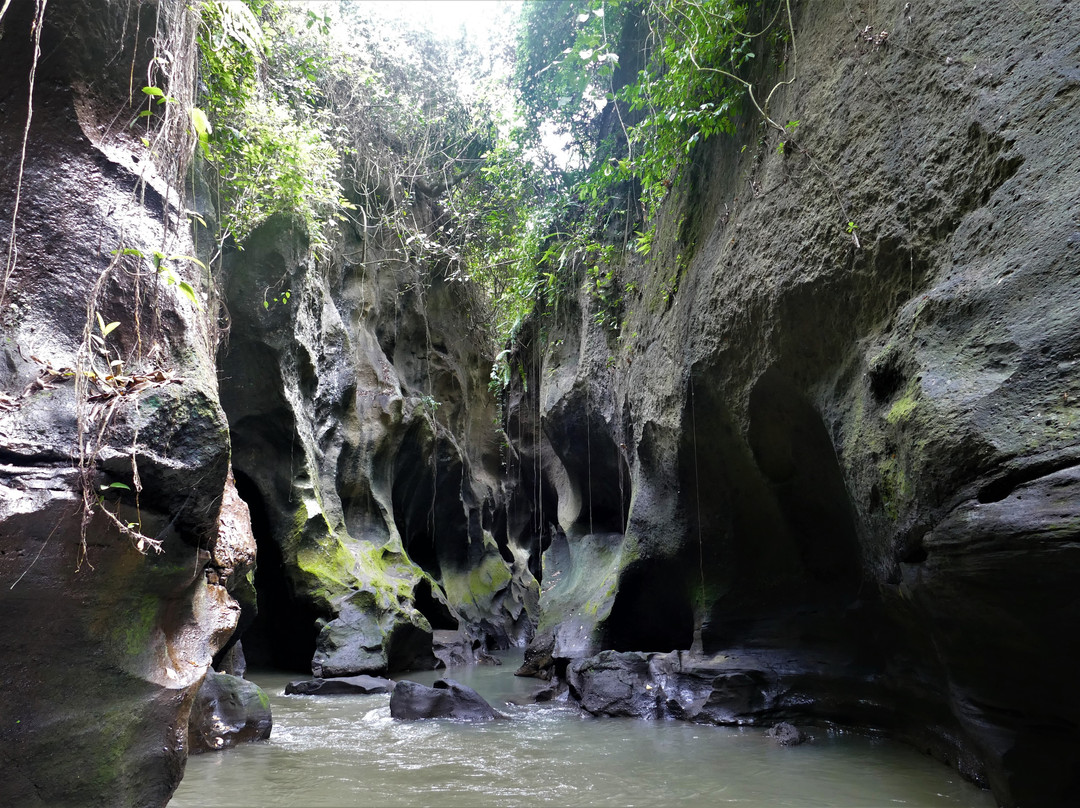 Beji Guwang Hidden Canyon景点图片