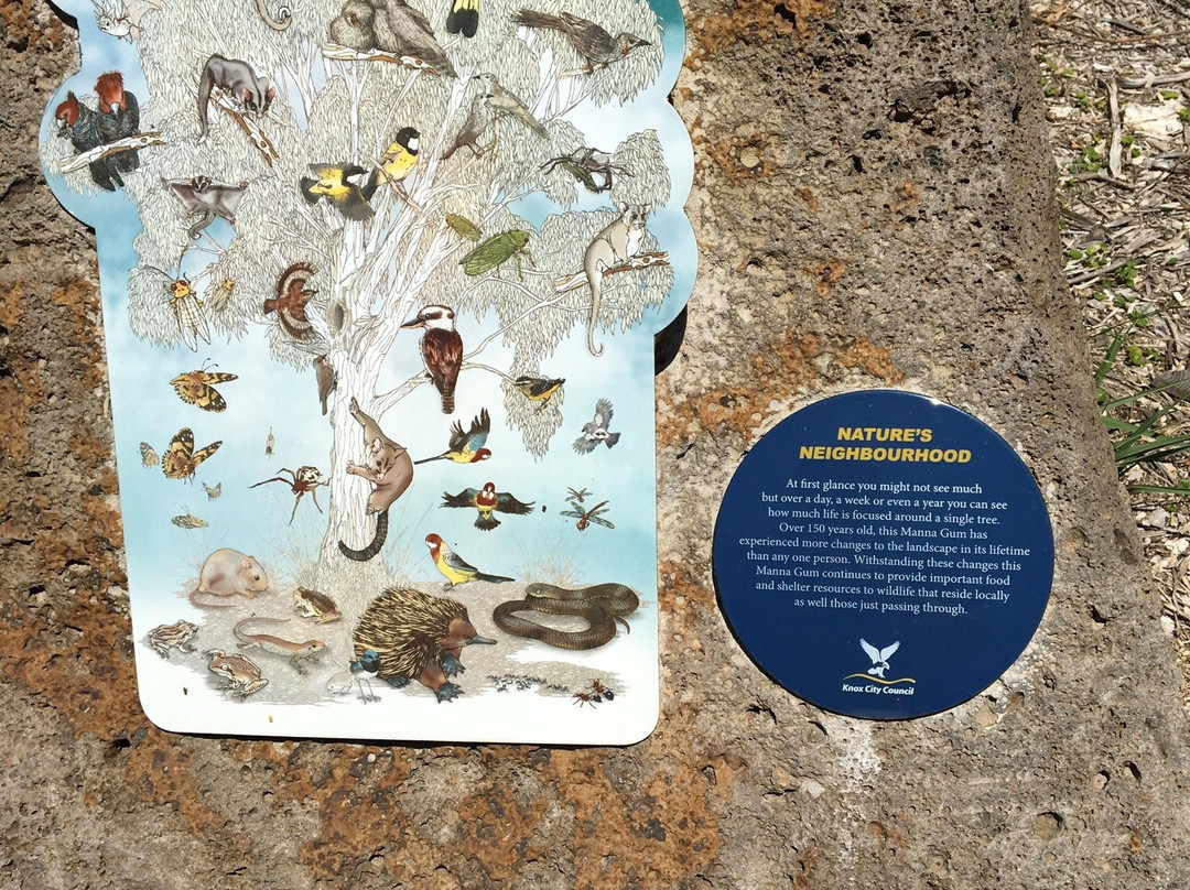 Yarrabing Wetlands Reserve景点图片