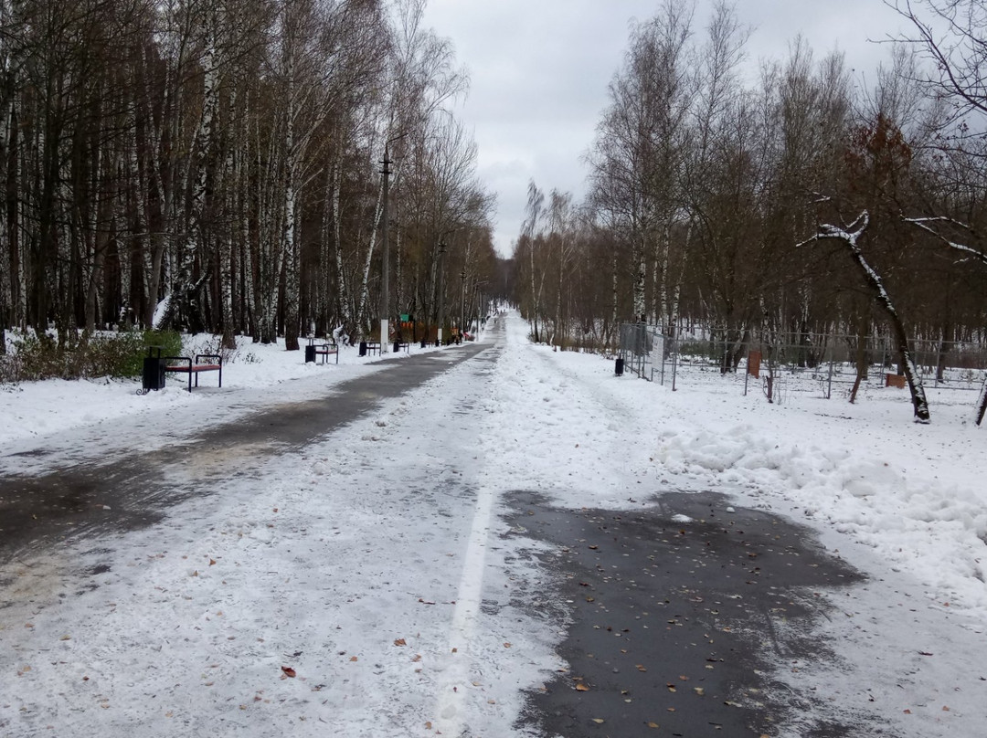 Slobodka旅游景点-Komsomolskiy Park of Culture and Leisure