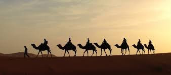 Camel Safari景点图片