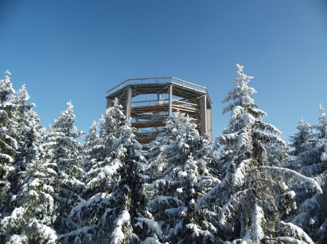 Rezidence Club Canada Appartement XXL Conference Rooms Sauna