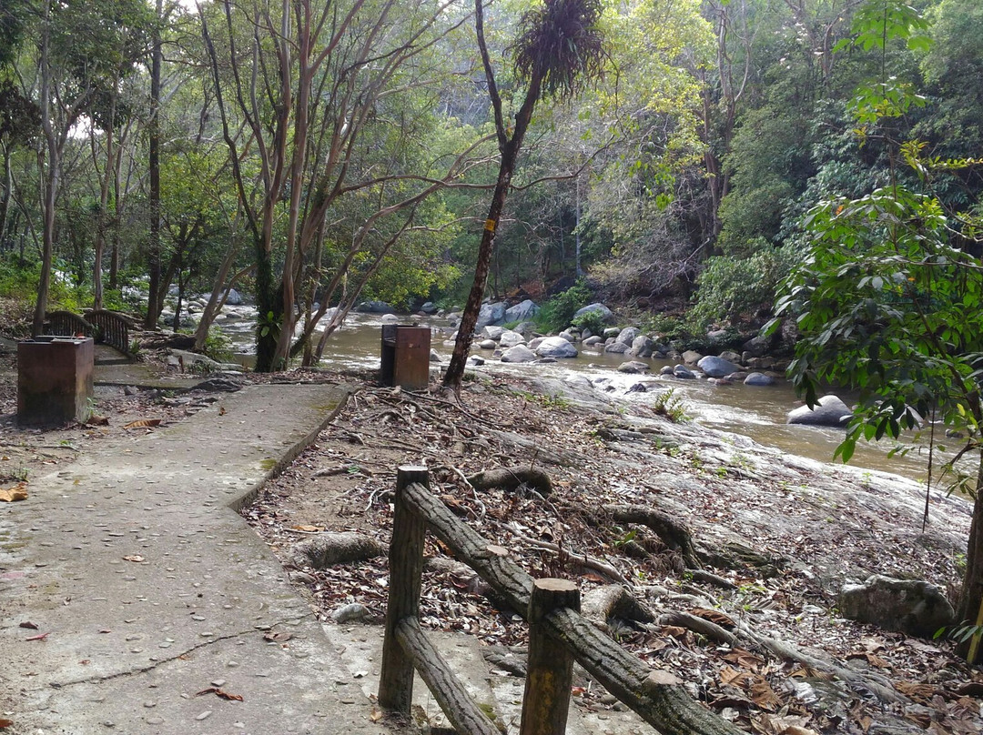 Lentang Forest Recretional Park-文冬必去景点
