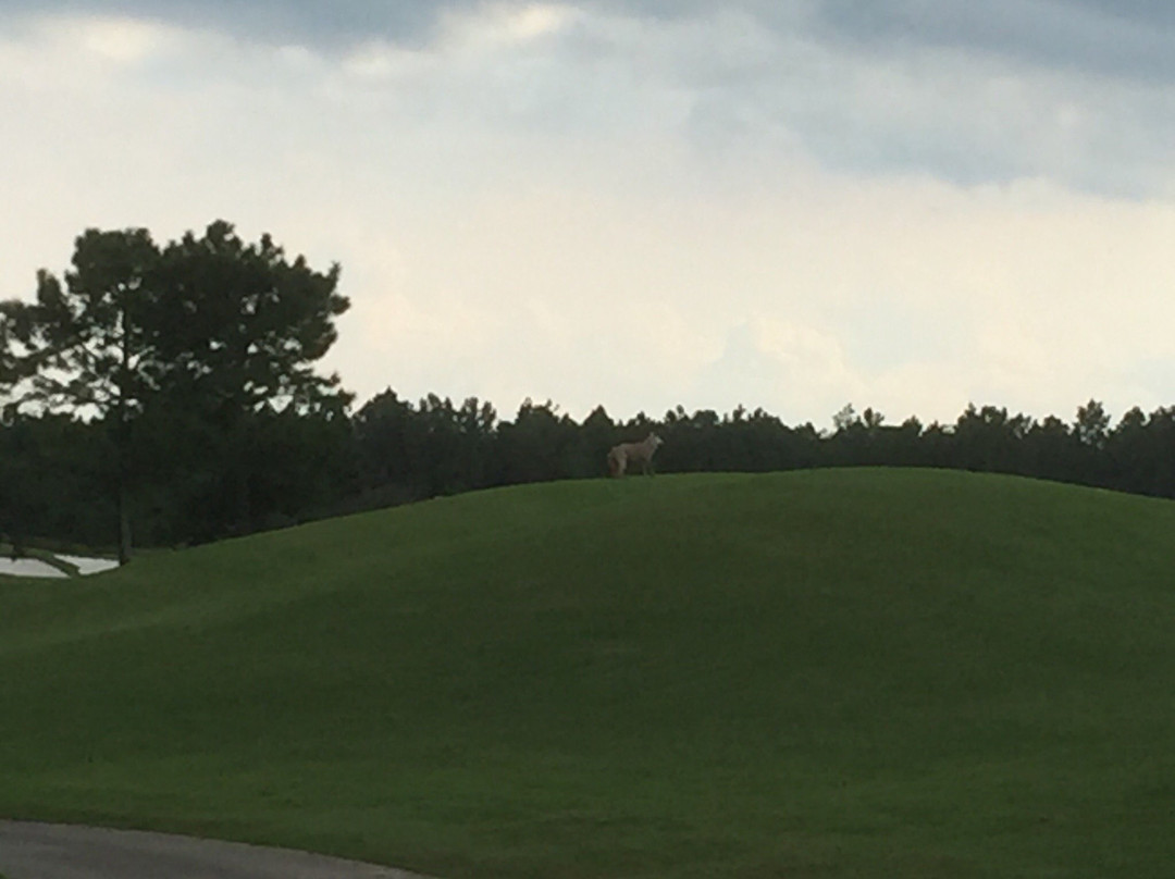 Golf Club at South Hampton-圣奥古斯丁必去景点