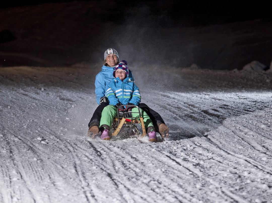 Toboggan Run Grafenwiese-Tauplitz必去景点