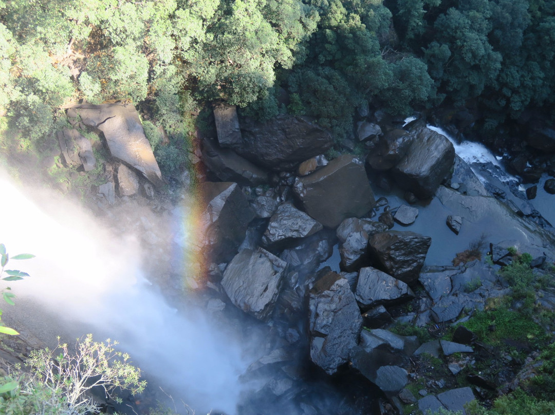 Twin Falls Lookout-Fitzroy Falls必去景点