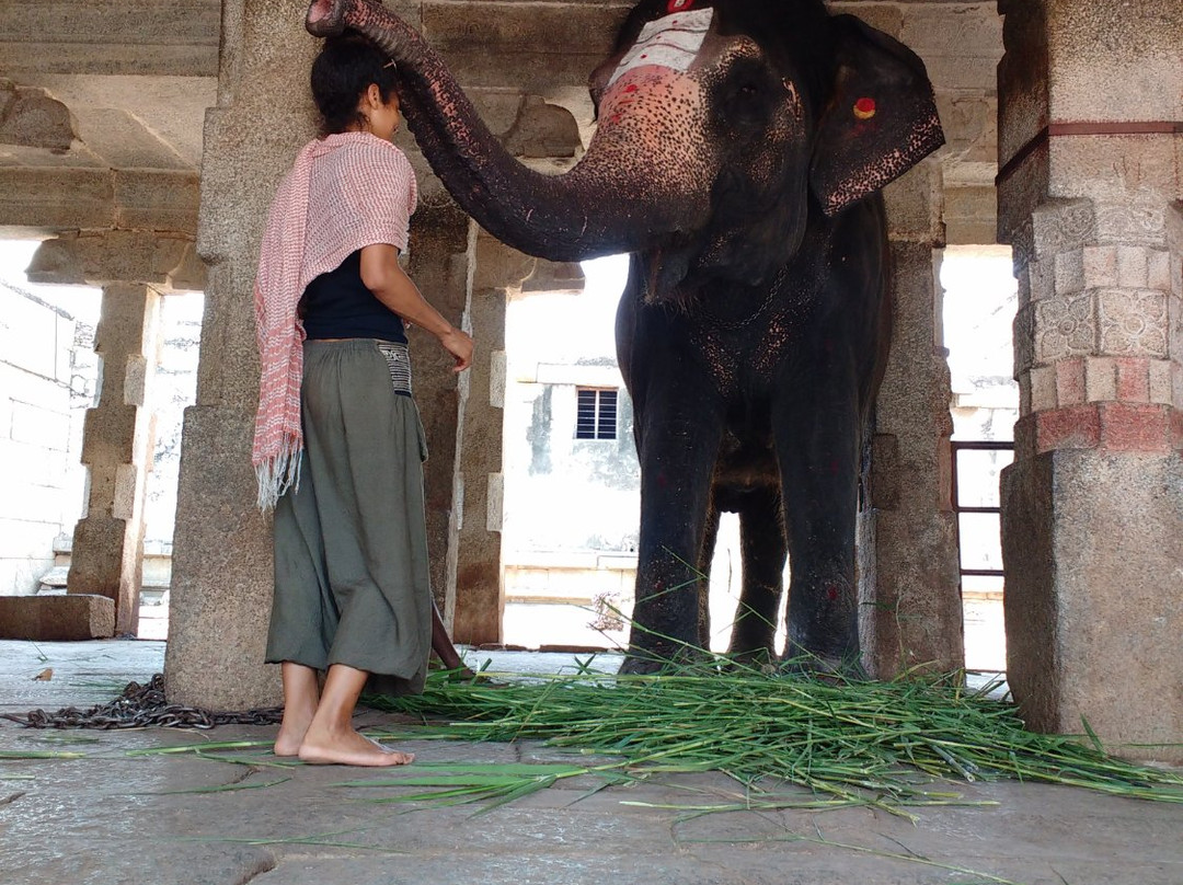 Hampi Foot Print景点图片