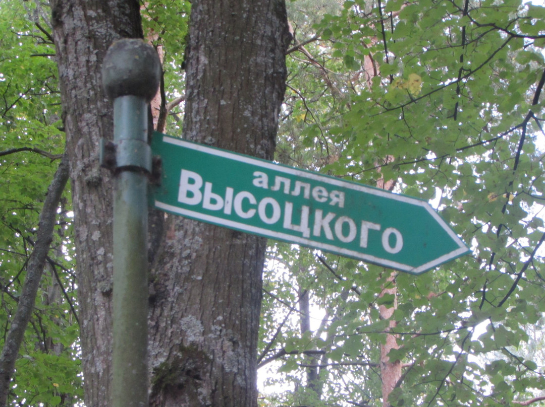 Vysotskogo Alley景点图片