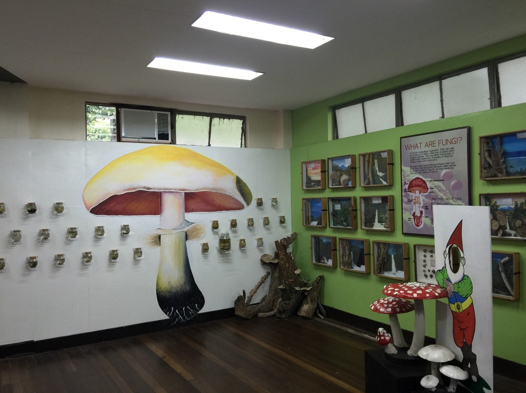 UPLB Museum of Natural History-Los Banos必去景点