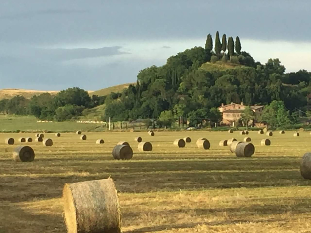 Casanova Pansarine酒店住宿-B&B Le Pietre Vive