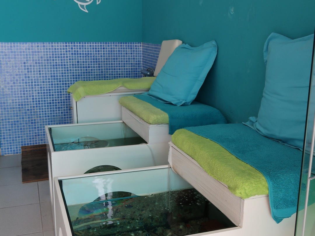 Spa Aquarium-Cala Ratjada必去景点