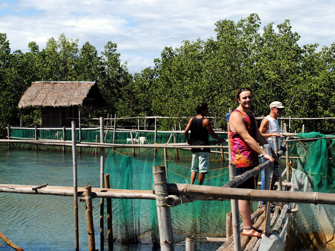 Caticugan Marine Sanctuary景点图片