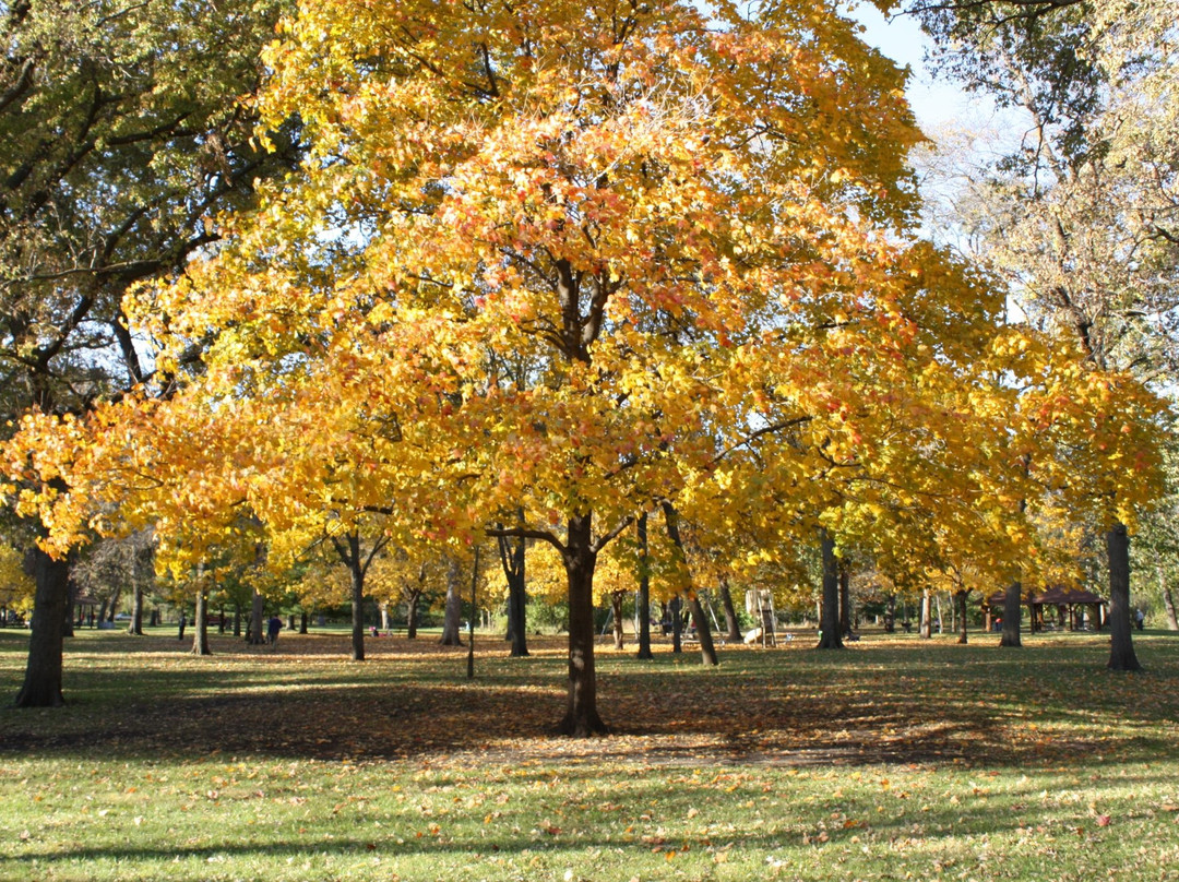 Iowa State University-艾姆斯必去景点
