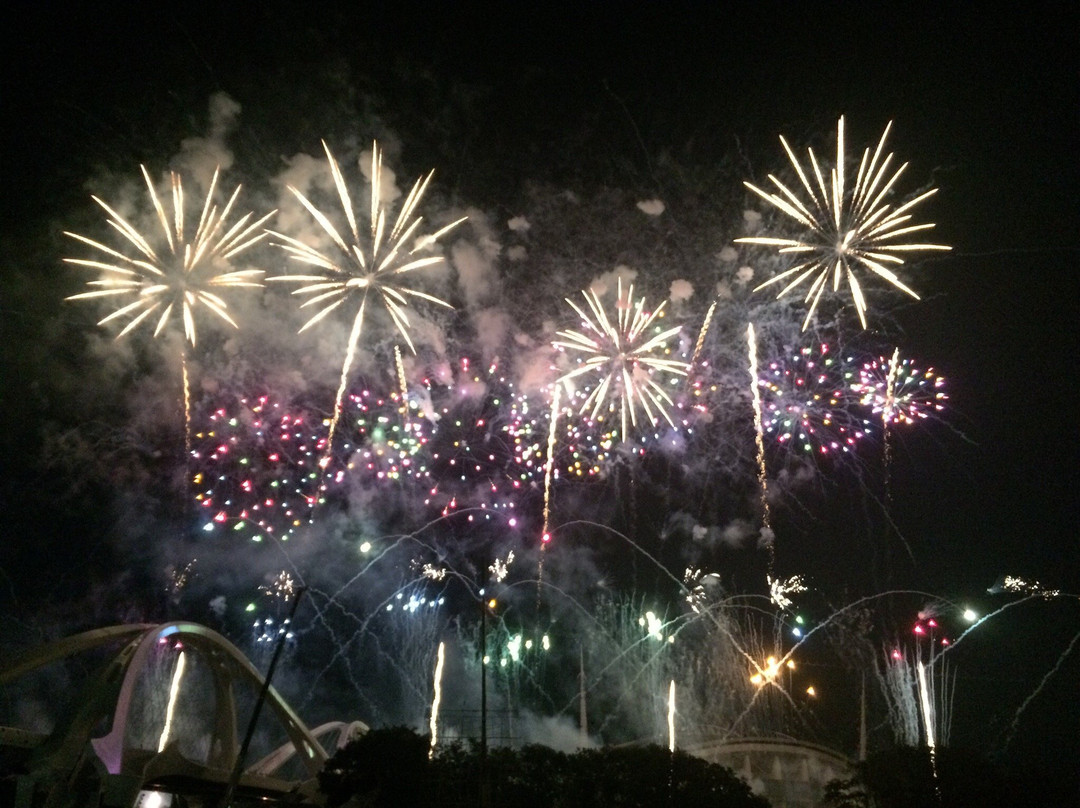 Toyota Oiden Festival Fireworks-丰田市必去景点