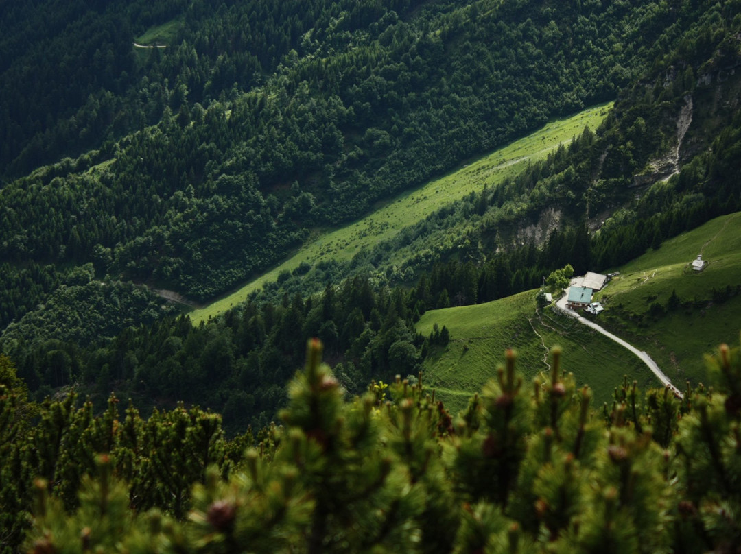 Hoettinger Alm-茵斯布鲁克必去景点