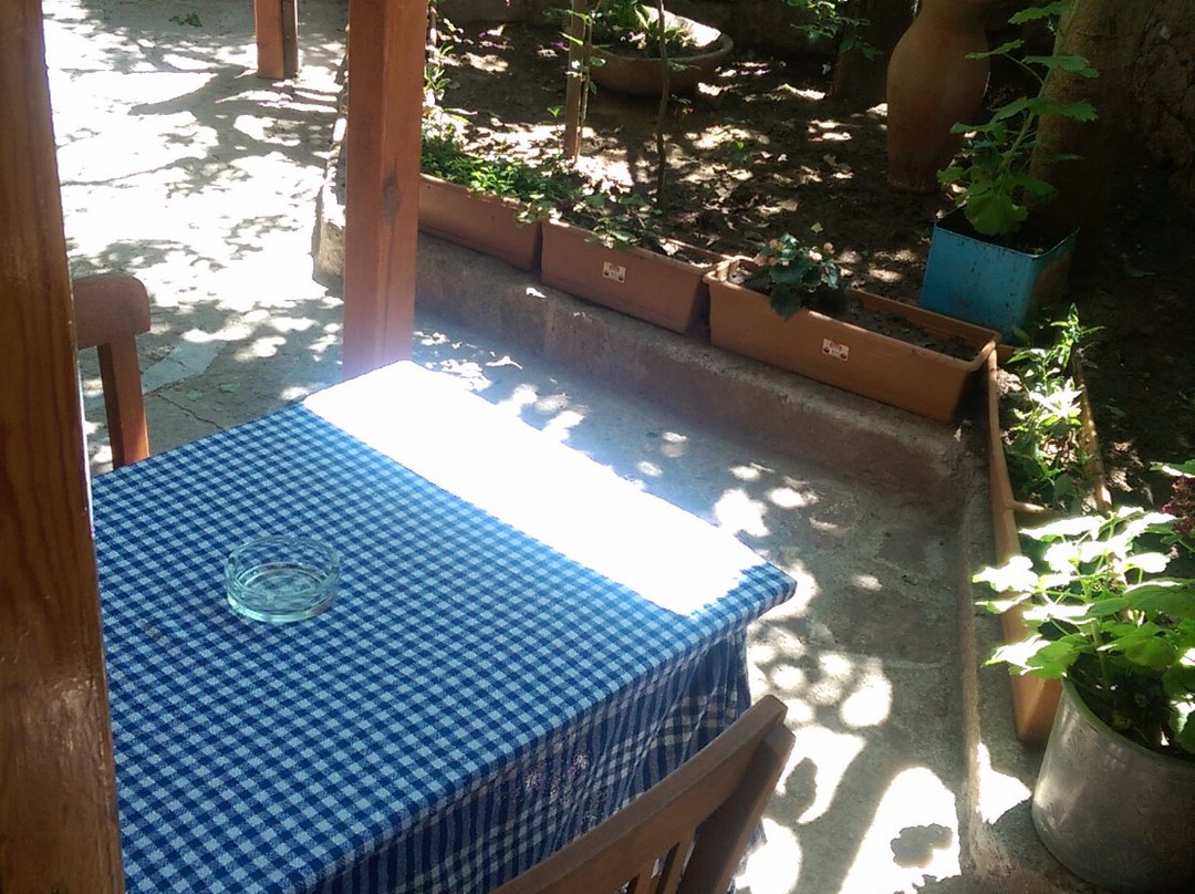 Tekin Pension