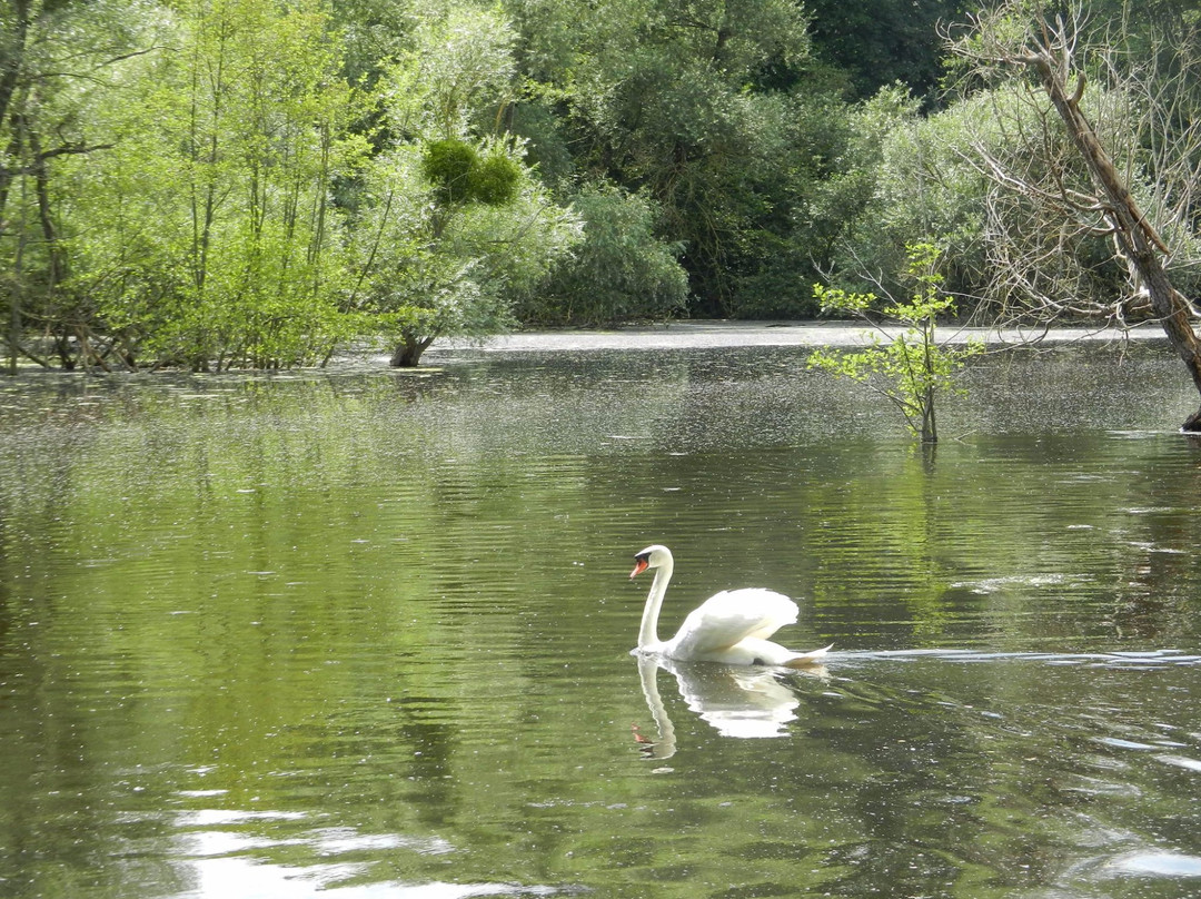 Parc Naturel du Patis景点图片