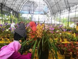 Kampung Anggrek-谏义里必去景点