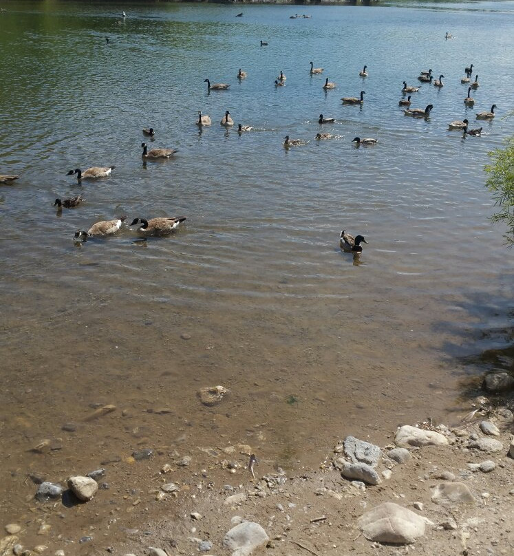 First Dam/Canyon Entrance Park-洛根必去景点
