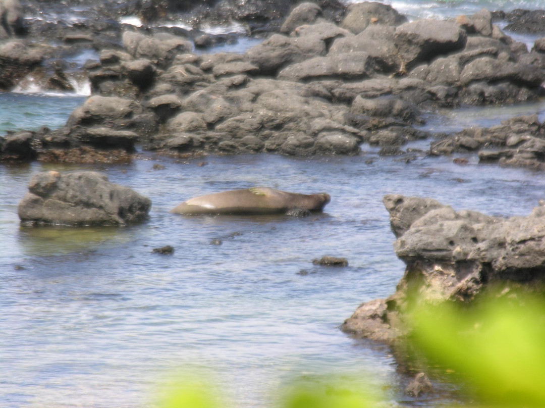 Kaʻena Point Trail-Makaha必去景点