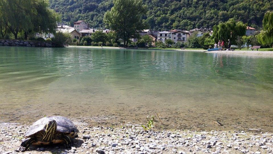 Laghetto di Grosotto景点图片